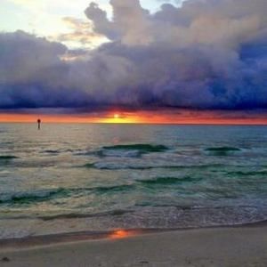 Meet your Posher, Clyde